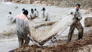 Разлив мазута в Черном море: последние новости