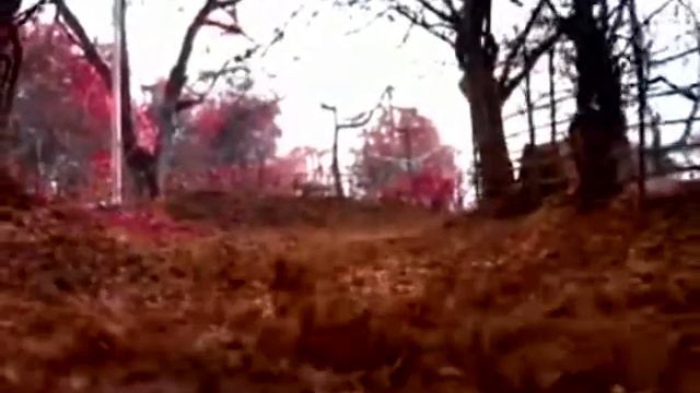 Видеозарисовка "Гордали. Осенний ноктюрн." смотреть онлайн