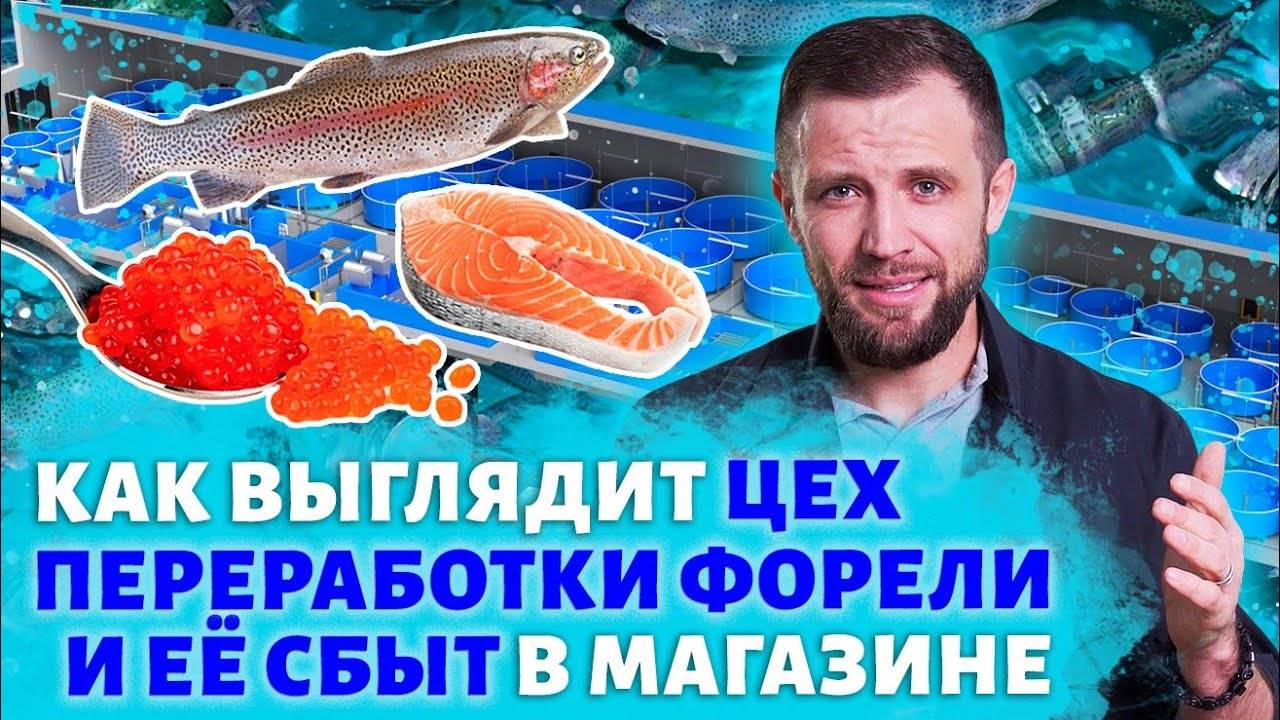 Полный ОБЗОР ФОРЕЛЕВОГО БИЗНЕСА изнутри. От ЦЕХА ДО ПРИЛАВКА В МАГАЗИНЕ