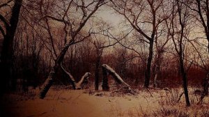 странствие сна : песня фей