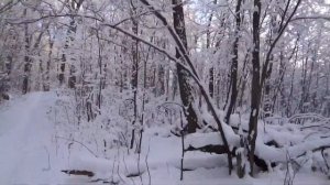 Г УФА ПРОГУЛКА ПО ЛЕСУ В СИЛЬНЫЙ МОРОЗ УТРОМ 7 ДЕКАБРЯ 2022ПРИРОДА ПОГОДА КЛИМАТNATURE WEATHER1080p