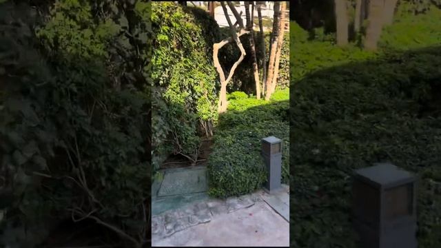 Обзор отеля Sunrise Arabian beach resort Шарм- эль -шейх. Отдых в Египте в декабре#египет#шармельше смотреть онлайн