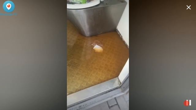 ШОК ВИДЕО!! ДЕВУШКА ЗАХОТЕЛА СХОДИТЬ В АВТОМАТИЧЕСКИЙ ТУАЛЕТ смотреть онлайн