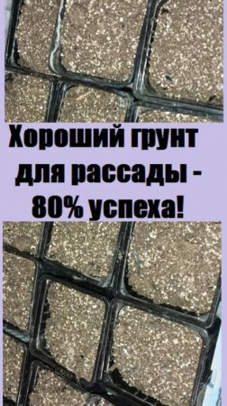 Начинаю готовить ПОЧВУ ДЛЯ РАССАДЫ - рассказываю все секреты своего идеального грунта!