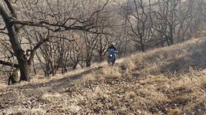 Псебай январь 2025