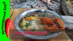 ★ Уха Ростовская (Донская) на костре из свежего судака с раками. | Кулинарный Клуб.