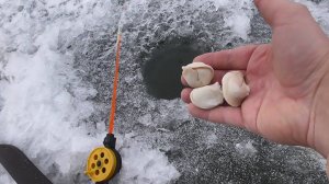 КИНУЛ ПЕЛЬМЕНИ В ЛУНКУ И ВОТ ЧТО ПРОИЗОШЛО...