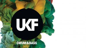 BestDrum&Bass  Wilkinson, Kanine, Dimension, Sub Focus, Polygon, Metrik, Grafix, T&Sugah,  UKF