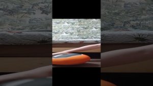 пацы короче я крутой бутто или как ¯\_(ツ)_/¯