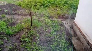 КУПИТЬ ДОМ В БЕЛАРУСИ