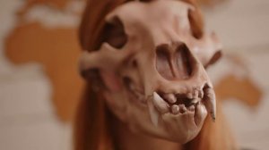 Маска-череп медведя