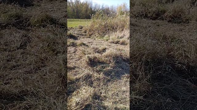 Косьба травы бензотриммером.