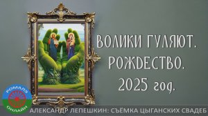 Волики гуляют_РОЖДЕСТВО_2025