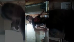 Роман гиля