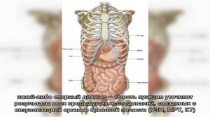 Как делается и что показывает биопсия печени