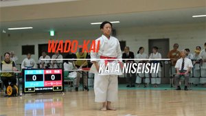 Вадо-кай каратэ - Ката Нисейси (Рейна Хасимото)