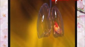 Капсулы Сюэчинфу