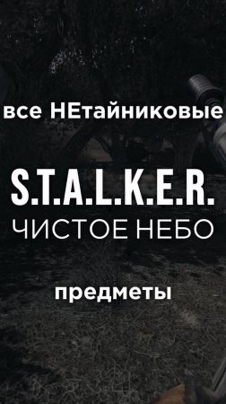 Все ПРЕДМЕТЫ в игре S.T.A.L.K.E.R.: ЧИСТОЕ НЕБО, Часть 28 • #shorts #stalker #clearsky #предметы