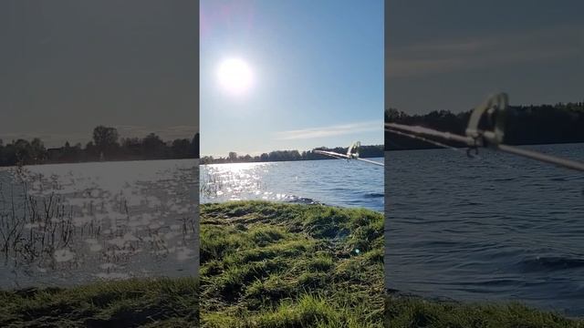 Отдых на природе, рыбалка. смотреть онлайн