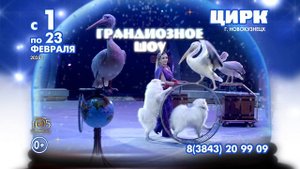 Филатовы в Новокузнецке