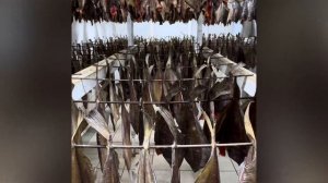 Икорная камбала на Kytegyl.ru