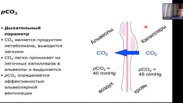 Информация в показателе РСО2  Торшин С.В.