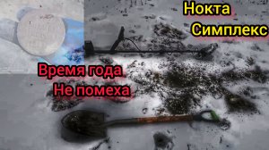 Коп монет. Зимние поиски. В поисках клада. Нокта симплекс