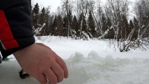 Хариус зимой в пермском крае.