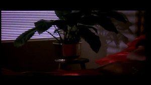 George Michael - Careless Whisper