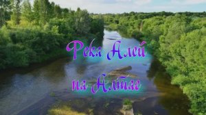 Река Алей на Алтае