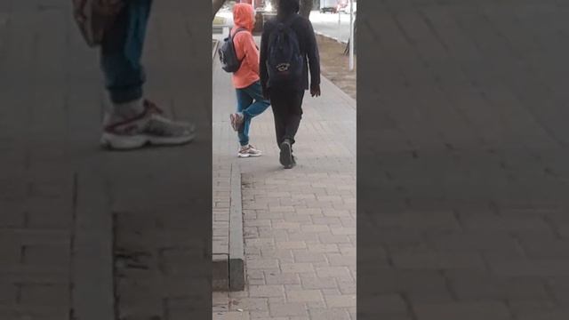 Цапли?