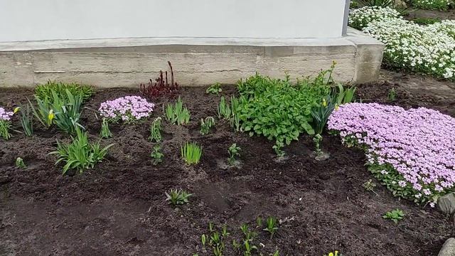 8.04.24. Откопала в огороде сама не знаю что. смотреть онлайн