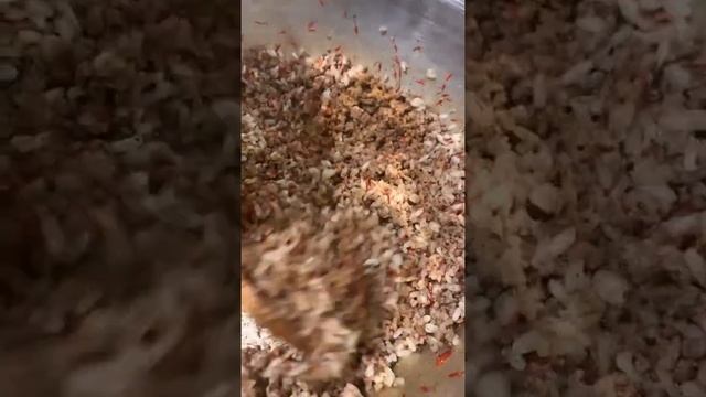 📌BUGÜNE KADAR BÖYLE BİR DOLMA YEMEDİNİZ📌KUZU İÇLİ KABAK DOLMA (DAMAT DOLMASI) смотреть онлайн