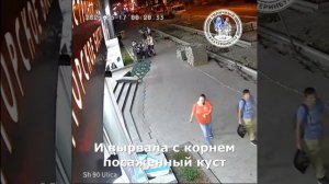 Летящей походкой гуляла по центру озорная дамочка, по дороге вырывая всё, что плохо закопано.