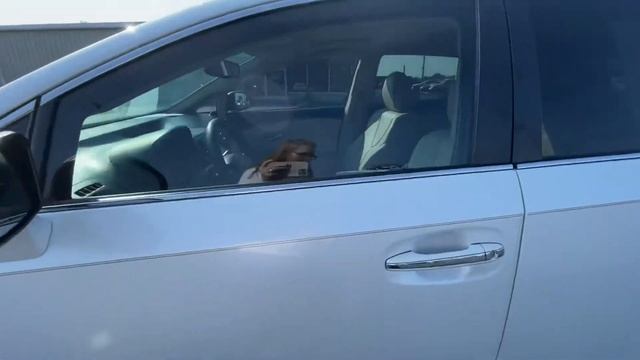 ULTRA CLEAN! 2012 Toyota Venza XLE смотреть онлайн