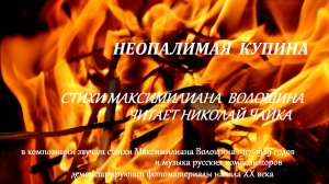 НЕОПАЛИМАЯ КУПИНА