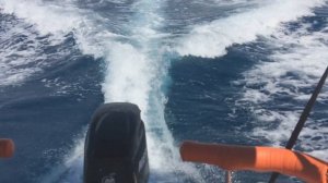 Quicksilver 510 cruiser z motorjem Mercury F40/60 v maestralu