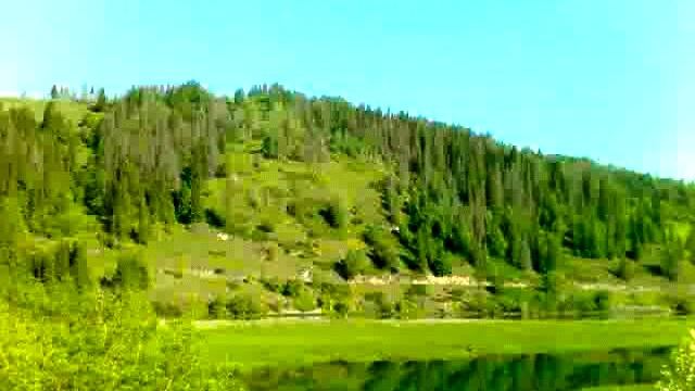 Миньяр прелесть природы  фотки 2015