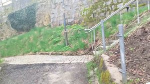 Новый день. Оксана и живая природа. 07 04  2024 Оксана