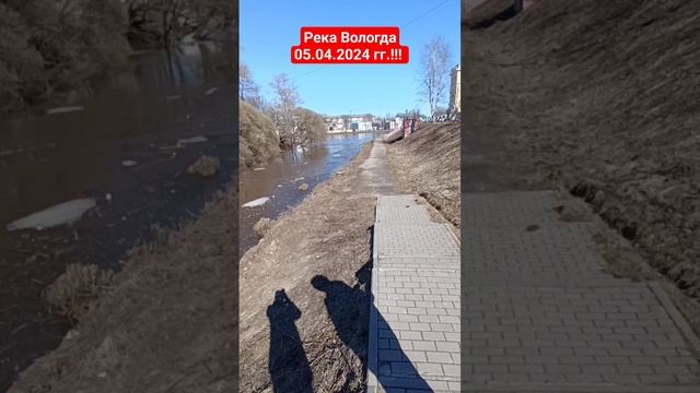 Река Вологда 05.04.2024!! Уровень близкий к критичечкому!! #shortsvideo #shortvideo #shorts #short смотреть онлайн