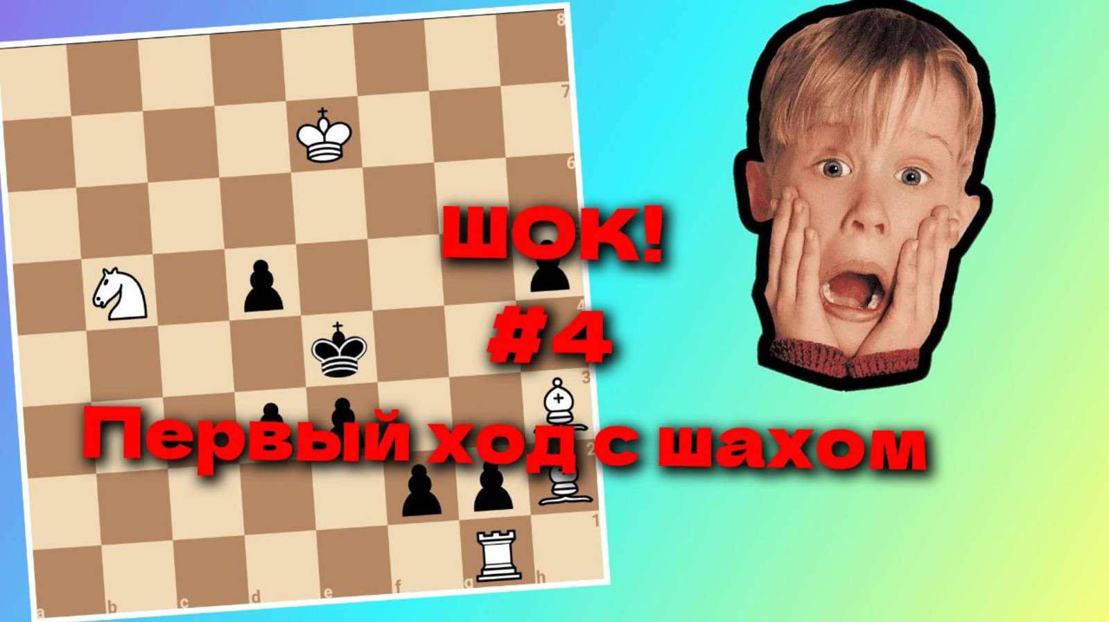 Шок! Шах в Шахматной композиции! Возможно ли такое?