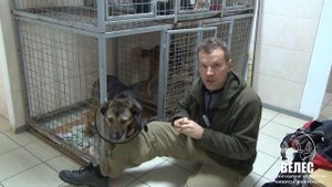 Ловушка  Ловчая петля  часть вторая не для впечатлительных