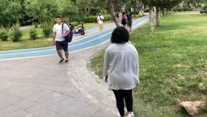 Отчего у меня дикие эмоции? Почему Анталья для кошек - рай? Пешком с пляжа в отель Suite Laguna