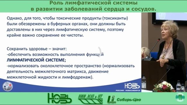 Роль лимфатической системы в развитии заболеваний сердца и сосудов. Мезенцева Н.Г.