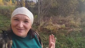 Волнушки и красноголовики после осенних ливней