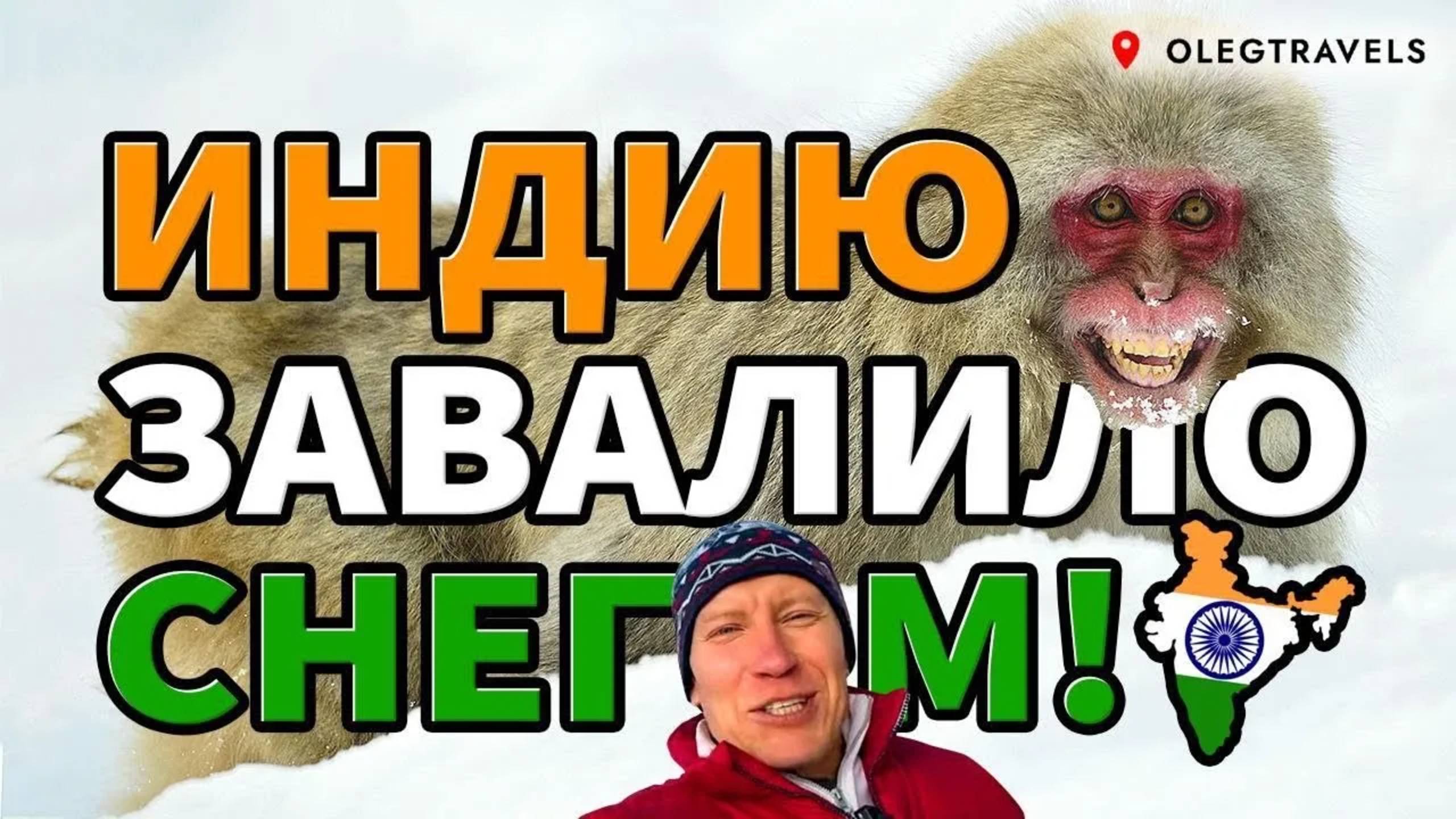 СНЕЖНЫЕ ОБЕЗЬЯНЫ В ГИМАЛАЯХ | КАШМИР, ИНДИЯ | Индия 2023 | Выпуск 04