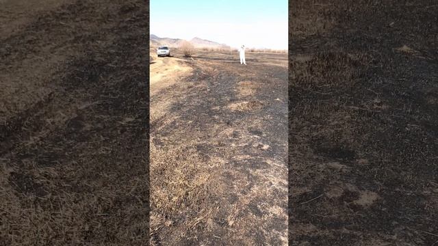 Поездка выходного дня. Улан-Удэ - Оронгой.