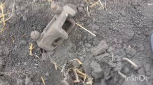 Металл, монеты,  осенний коп