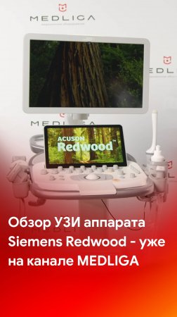 Обзор ультразвукового аппарата Siemens Redwood - уже на канале