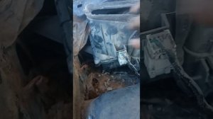 От куда вода в салоне автомобиля под ковриком